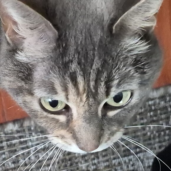 ruiyu_
